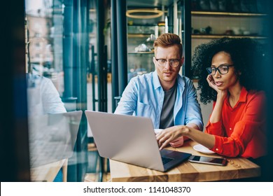 web portal development services